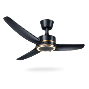Ceiling Fans