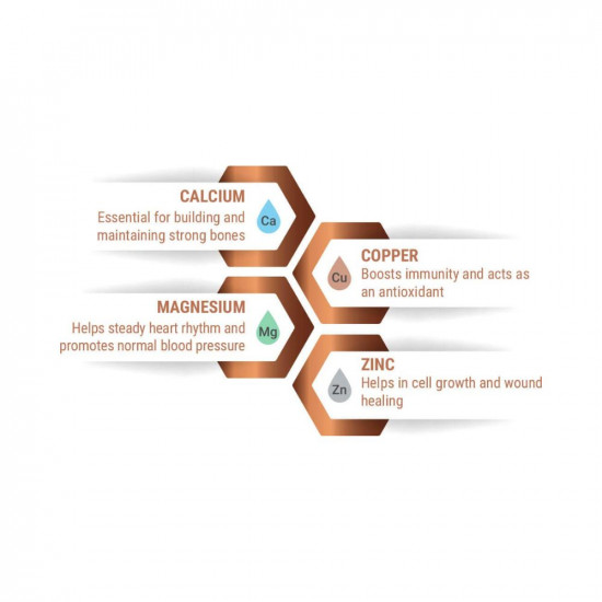 Aqua Active 100 GPD ROPHI UV UFTDSMIMegnectic SoftnerAnti ScallentIron RemovarAlkalineCopper 12-Litre Water Purifier Black