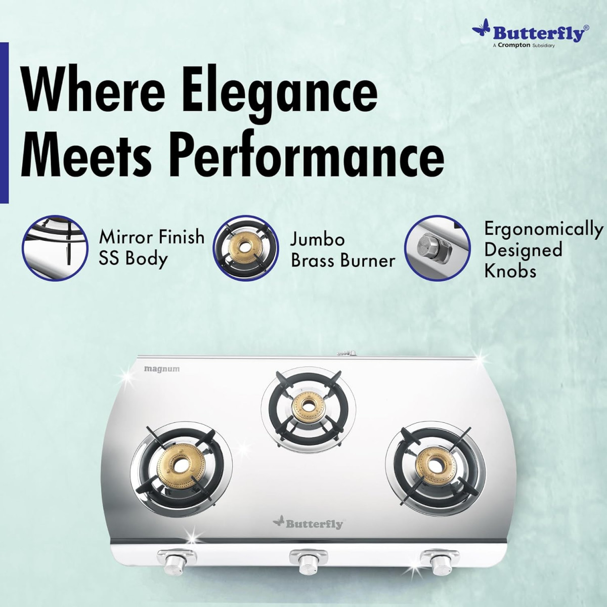 Butterfly Magnum Stainless Steel Lpg Stove 3B