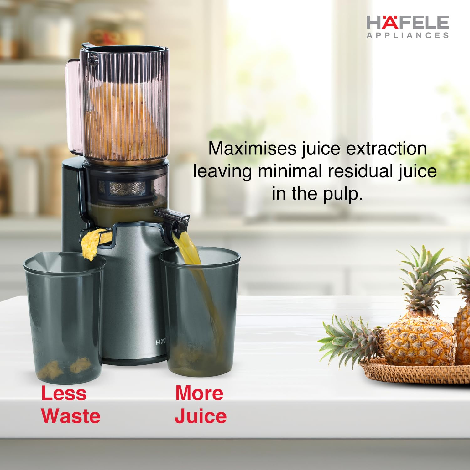 Hafele Magnus Prime Cold Press Juicer 100mm Wide Chute All-in-1 Fruit Vegetable Juicer 50RPM Speed for Max NutritionMaximum Extraction of Juice 250W