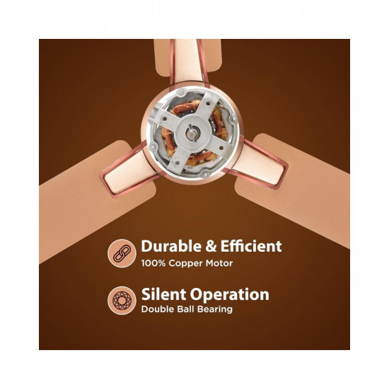 Hindware Smart Appliances Alita Amber Gold 1200MM Ceiling Fan for Home