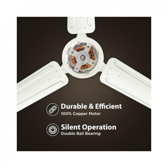 Hindware Smart Appliances Recio Bianco 1200MM Star Rated Ceiling Fan