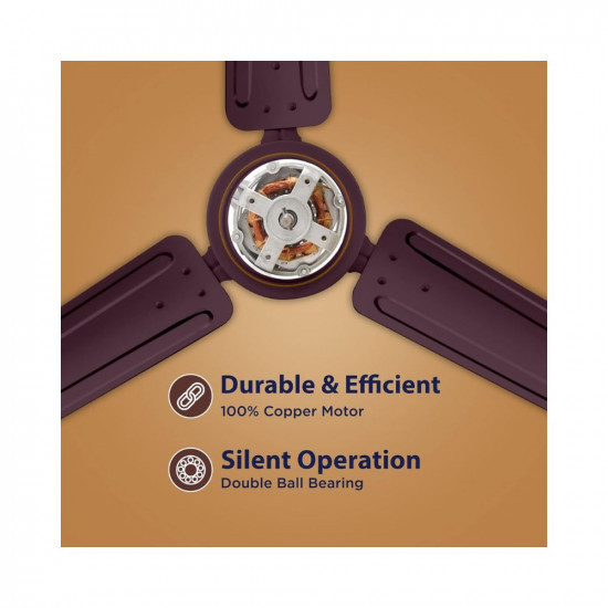 Hindware Smart Appliances Recio Brown 1200MM Star Rated Ceiling Fan for home