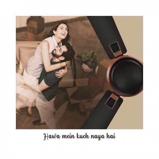 Hindware Snowcrest Admiro 1200mm Designer 3 Blade Ceiling Fan with Metallic Finish