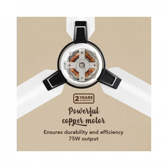 Hindware Snowcrest Arija 1200mm Designer 3 Blade Ceiling Fan with Premium Paint Finish