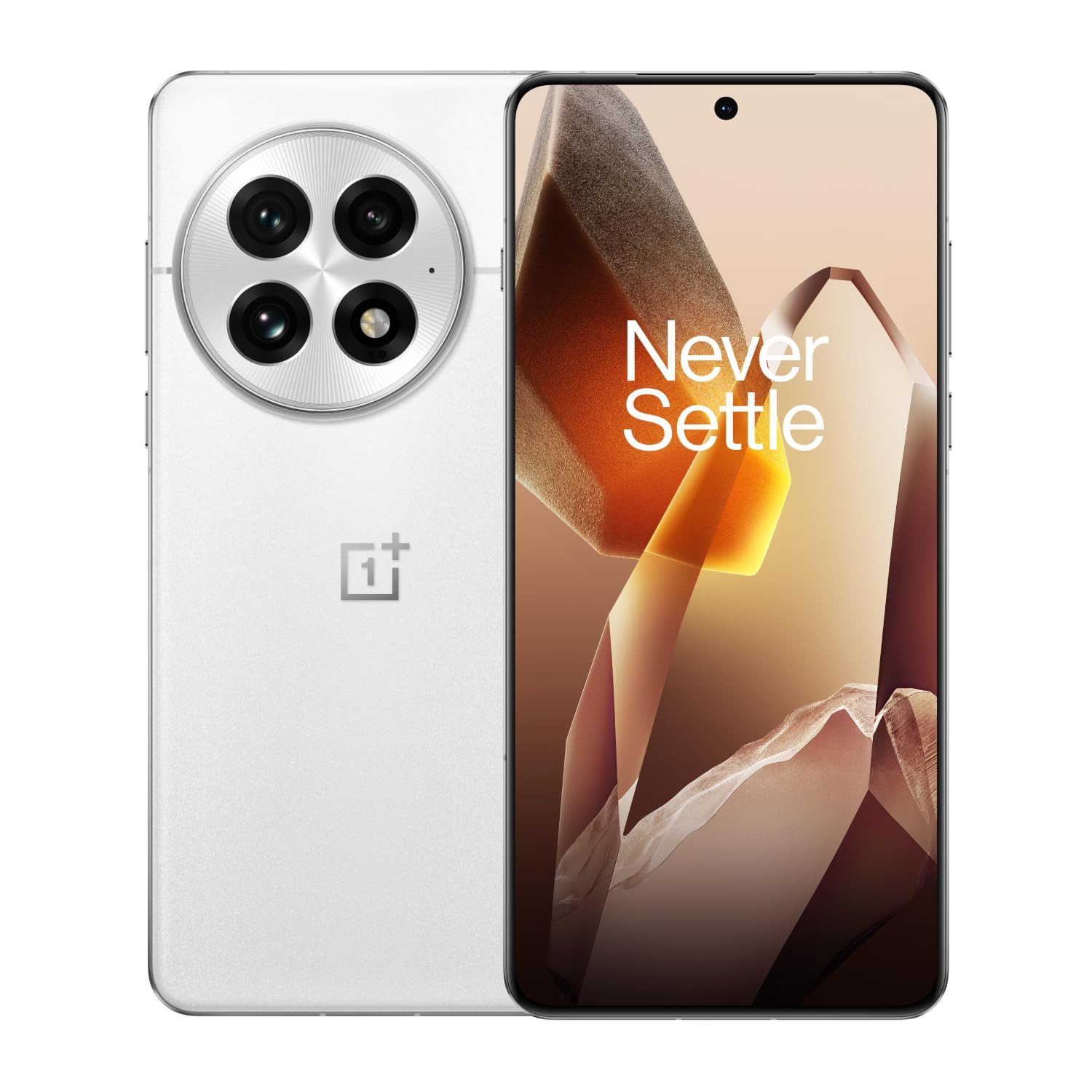 OnePlus 13  Smarter with OnePlus AI  Lifetime Display Warranty 12GB RAM 256GB Storage Arctic Dawn