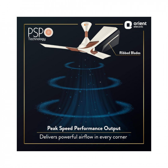 Orient Electric Wendy 1200mm BEE Star Rated Ceiling Fan