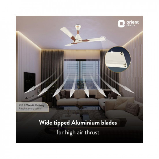 Orient Electric Wendy 1200mm BEE Star Rated Ceiling Fan