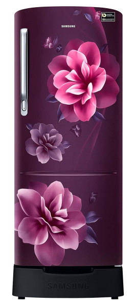 Image of Samsung 223L 3 Star Inverter Direct-Cool Single Door Refrigerator Appliance (RR24C2823CR/NL,Camellia Purple) Base Stand Drawer 2023 Model