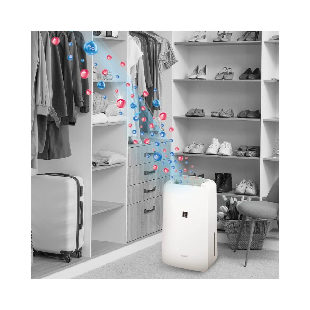 SHARP Electric Home Dehumidifier Machine with Plasmacluster Tech fight against mold virus fungus Absorbs moisture I Clothes dryer I Covers 250 sq ft I Drain 10Lday I DW-P10M-W