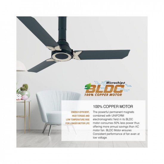 USHA Onio Pi Plus 1200Mm Bldc 5 Stars Energy Efflicient Dust Oil Resistant Ceiling Fan
