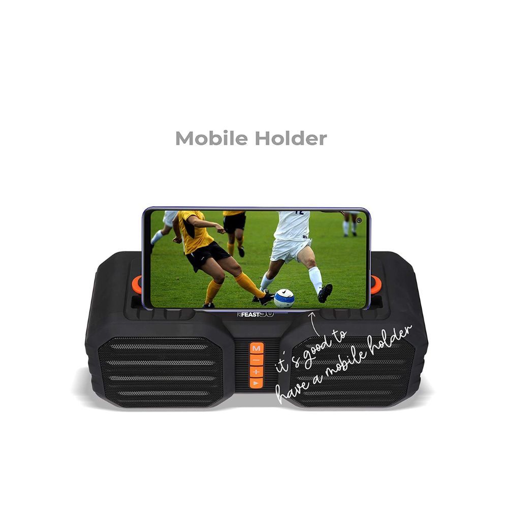 ZEBRONICS Sound Feast 50 14 W Portable Speaker Supporting Bluetooth Pendrive Slot mSD Card FM Call Function Black